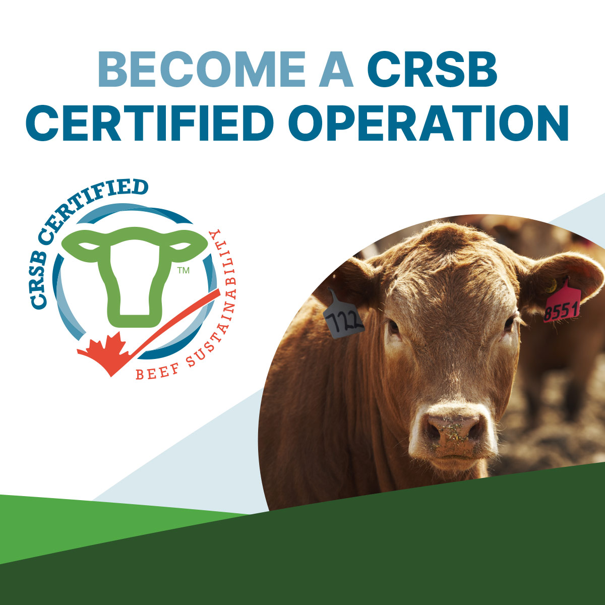 Canadian Roundtable for Sustainable Beef Case Study 2