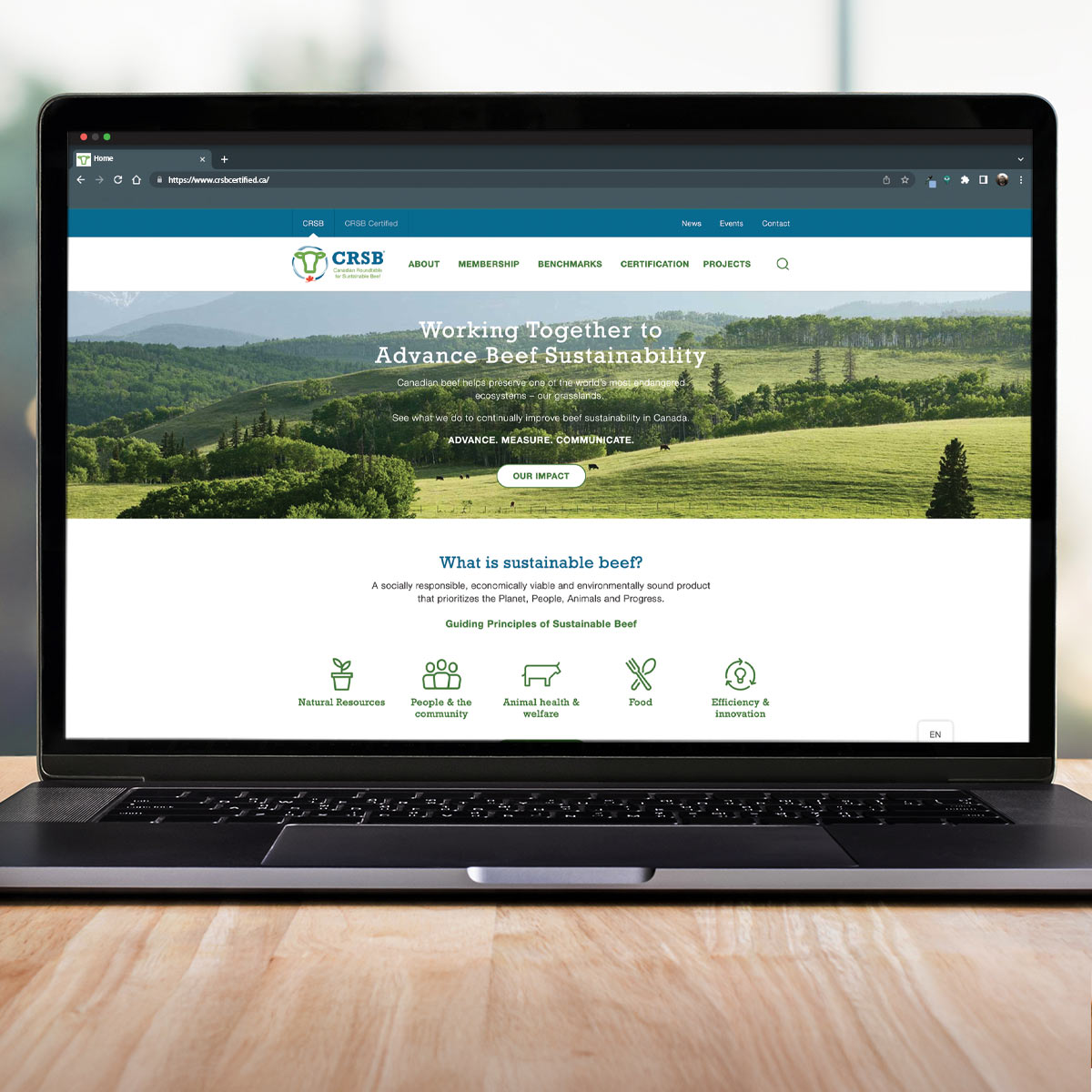 Canadian Roundtable for Sustainable Beef Case Study 1