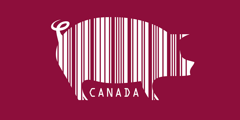 Canadian Pork Councils PigTrace Featured Case Study Image - Large