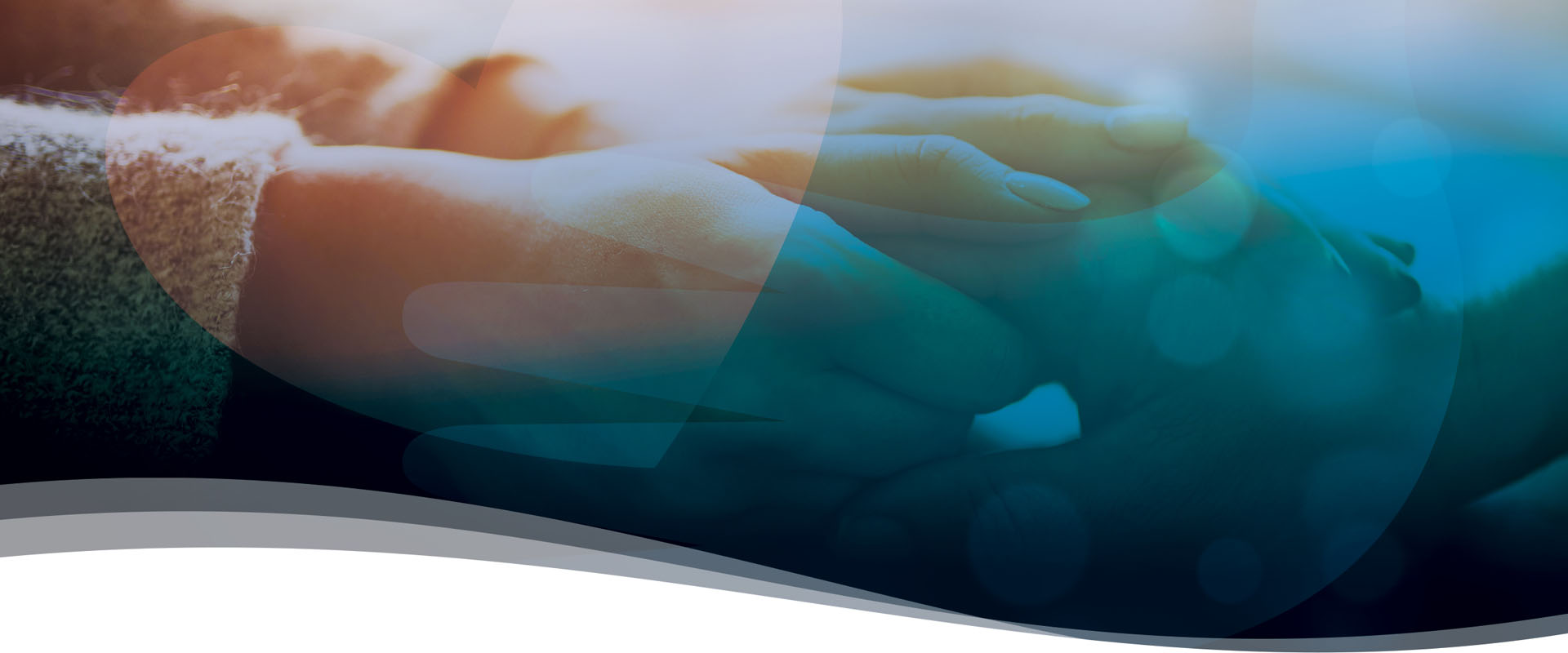 Reseau Case Study Banner