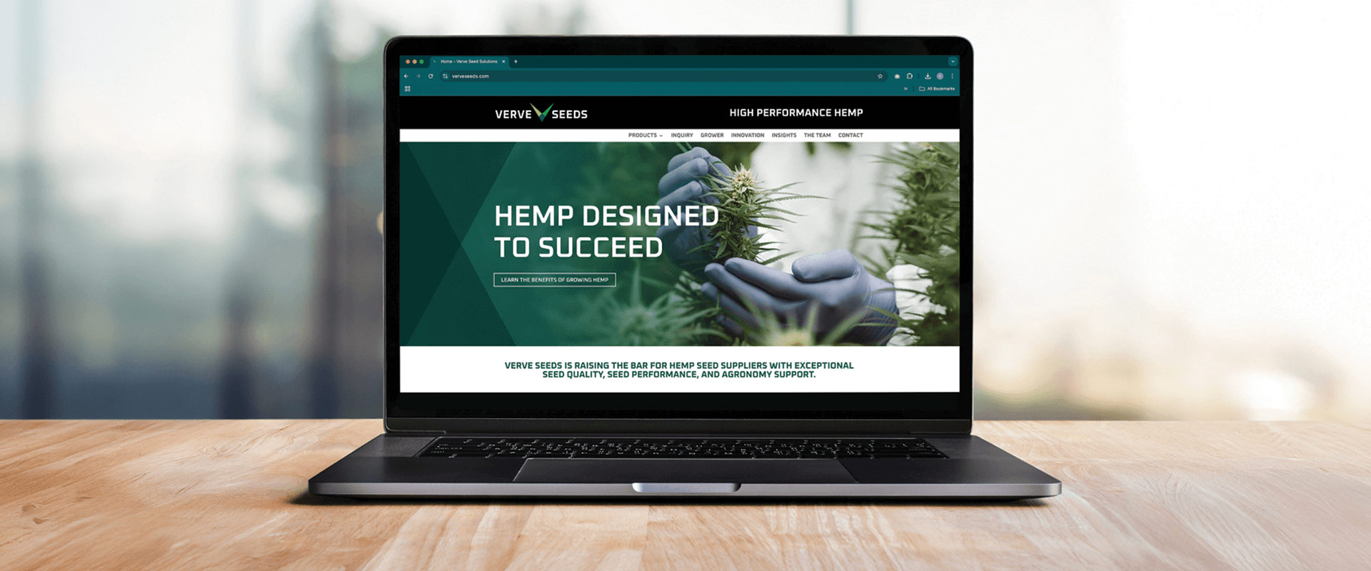 Verveseeds Case Study Banner