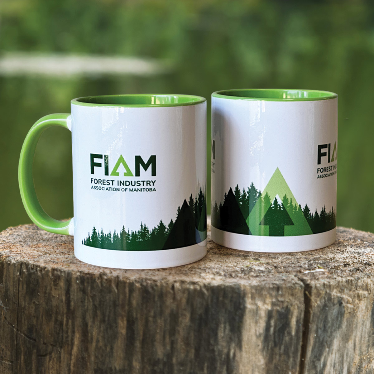 Case Study: Forestry Industry Association of Manitoba - The Outcome