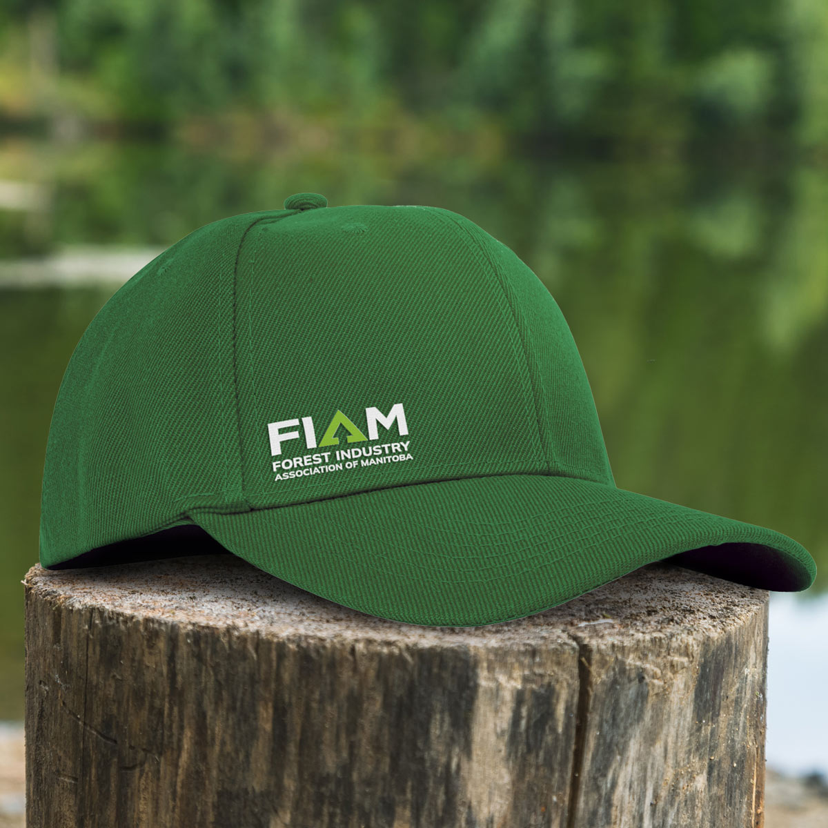 Case Study: Forestry Industry Association of Manitoba - The Solution