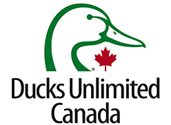 Ducks Unlimited Logo